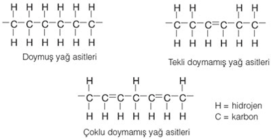 Ya Asitleri