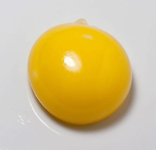 Yumurta Sarısı Yağı